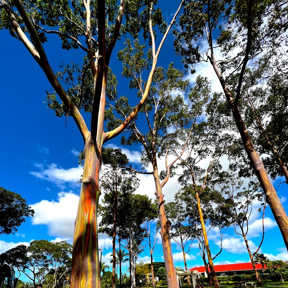 Meet your Posher, Jaylen